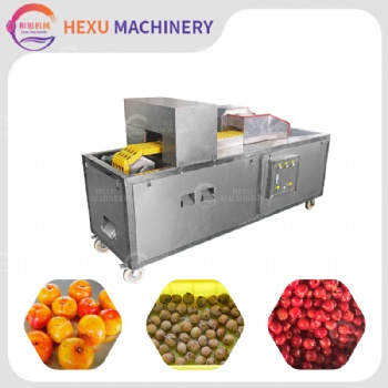 Plum Coring Machine