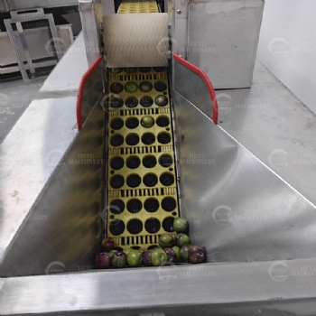 Plum Coring Machine