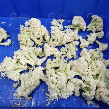 椰菜花分瓣机